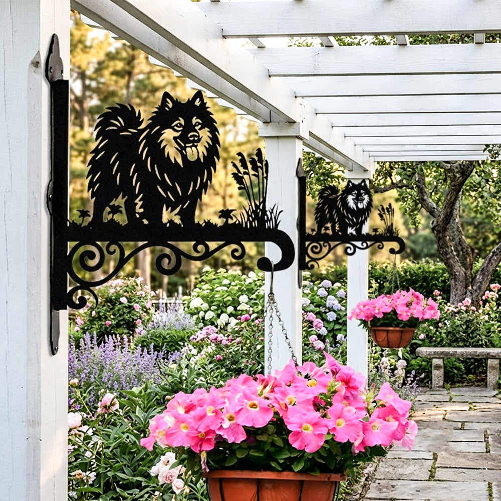 Keeshond metal hanging basket bracket mounted on outdoor wall for plant decoration