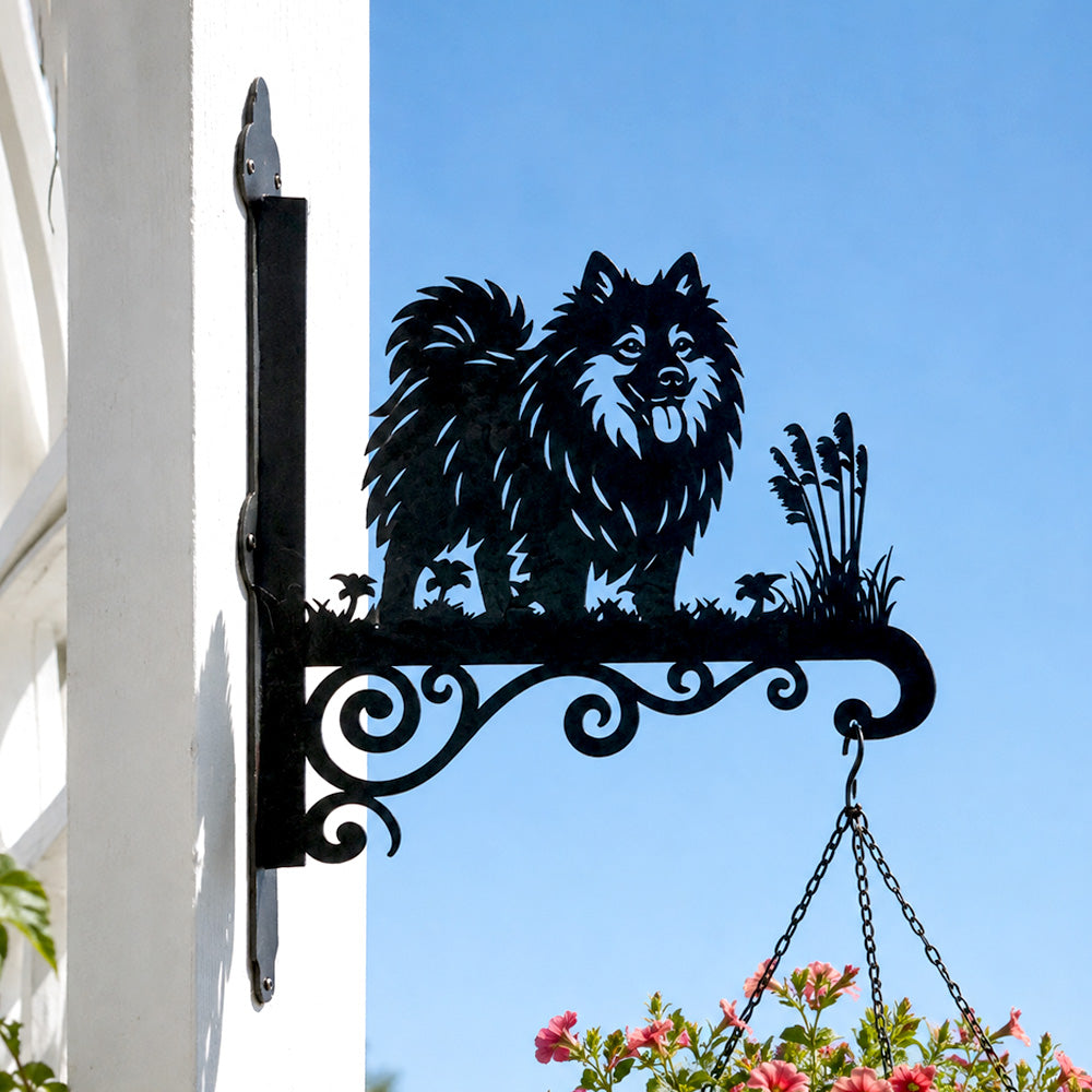 Keeshond metal hanging basket bracket mounted on outdoor wall for plant decoration