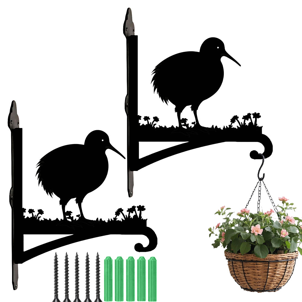 Kiwi bird metal hanging basket bracket mounted on outdoor wall for plant decoration