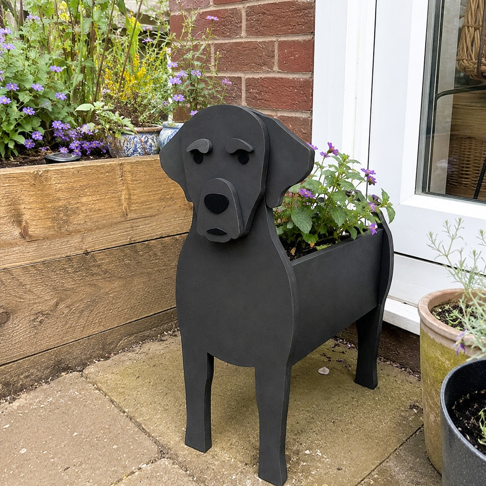 Labrador dog planter filled with fresh flowers is placed in the garden