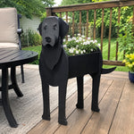 Labrador dog planter filled with fresh flowers is placed in the garden
