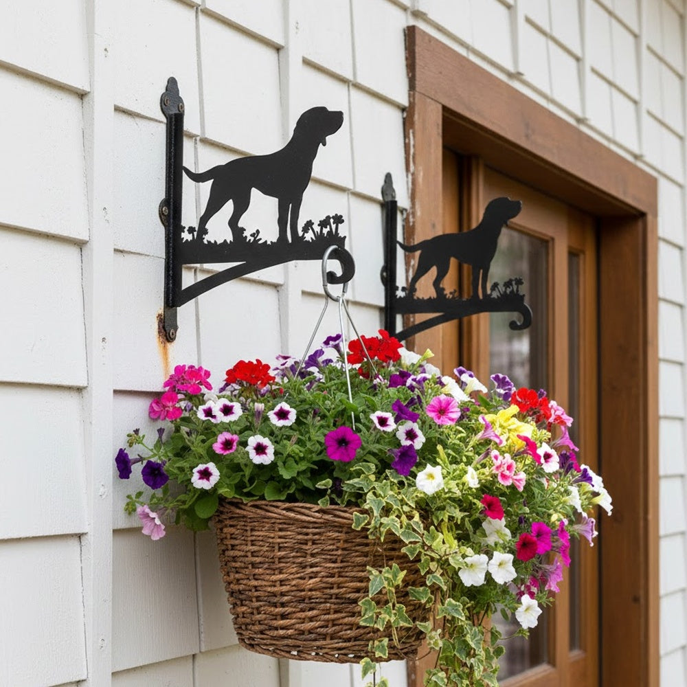 Labrador metal hanging basket bracket mounted on outdoor wall for plant decoration