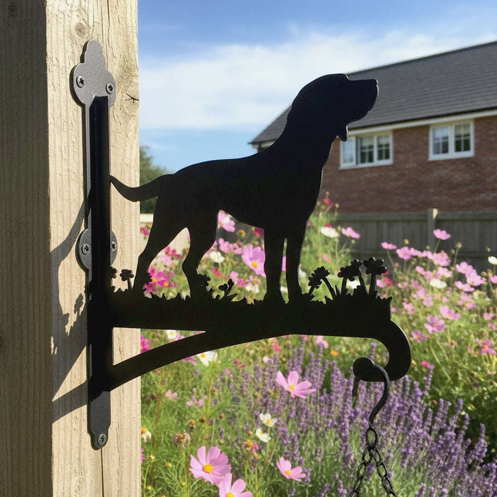 Labrador metal hanging basket bracket mounted on outdoor wall for plant decoration