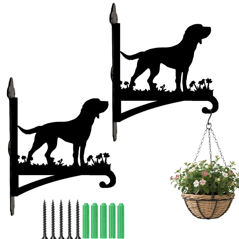 Labrador metal hanging basket bracket mounted on outdoor wall for plant decoration