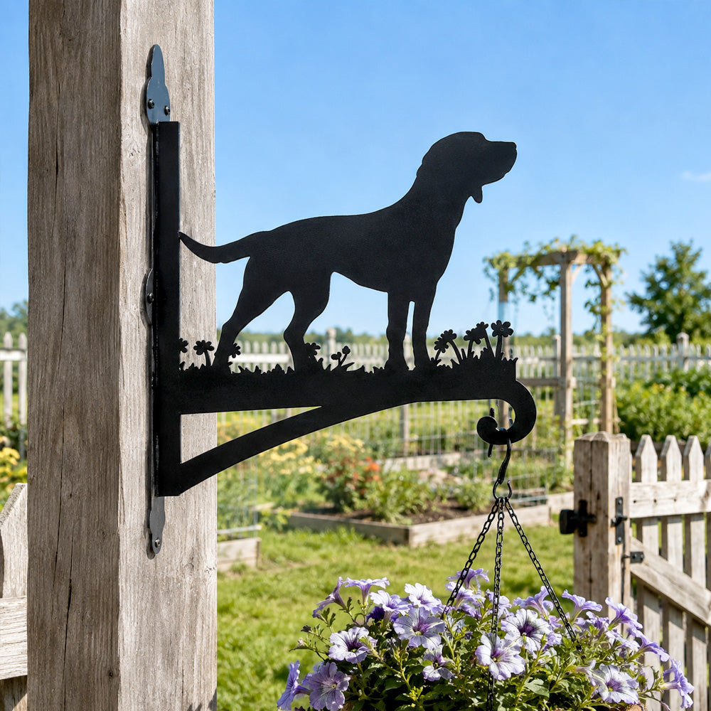 Labrador metal hanging basket bracket mounted on outdoor wall for plant decoration