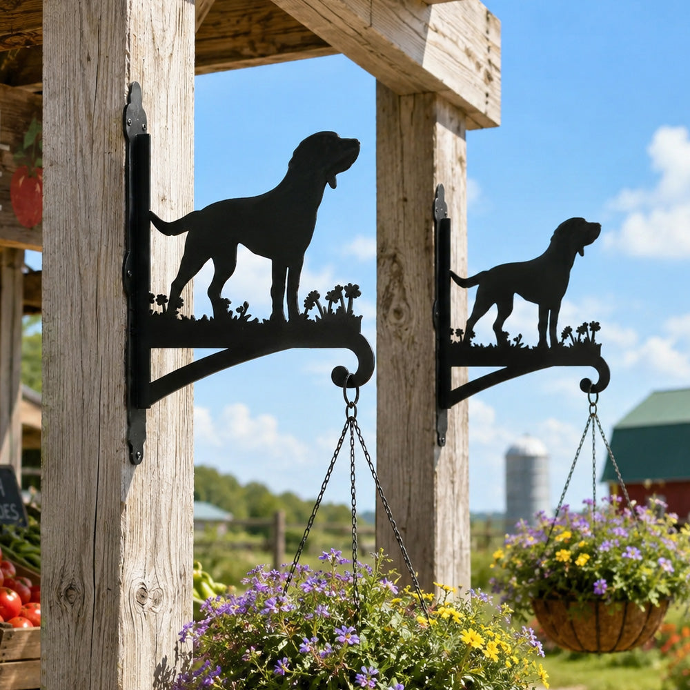 Labrador metal hanging basket bracket mounted on outdoor wall for plant decoration