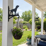 Labrador metal hanging basket bracket mounted on outdoor wall for plant decoration