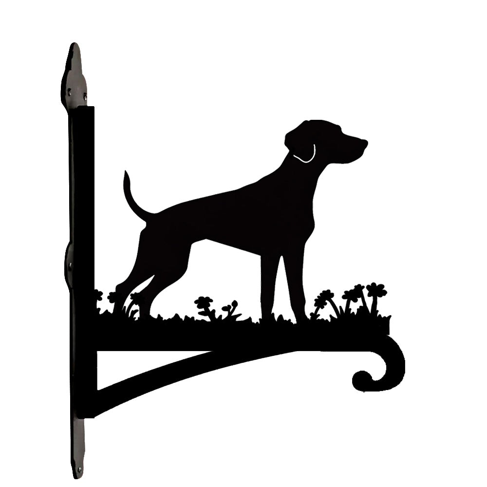 Labrador metal hanging basket bracket mounted on outdoor wall for plant decoration