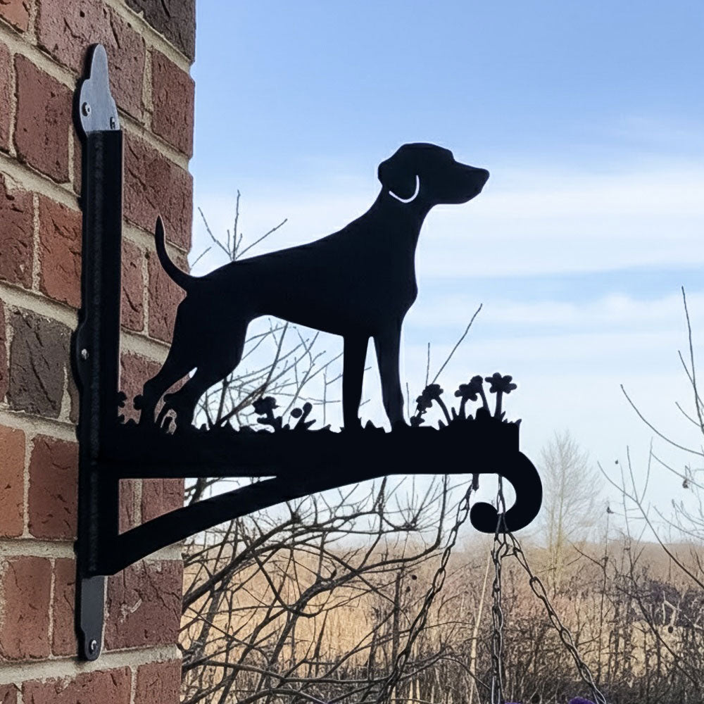 Labrador metal hanging basket bracket mounted on outdoor wall for plant decoration