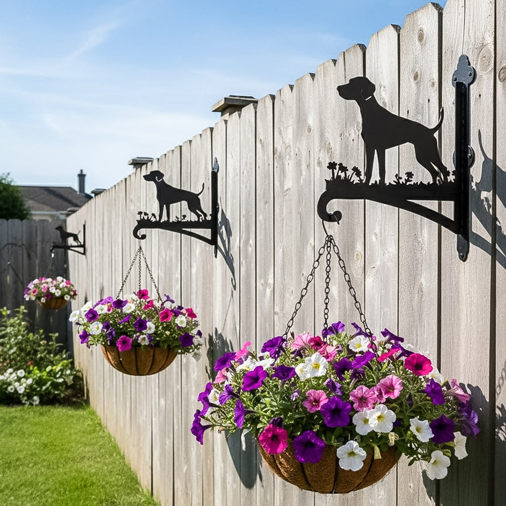 Labrador metal hanging basket bracket mounted on outdoor wall for plant decoration