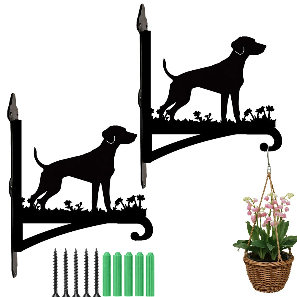 Labrador metal hanging basket bracket mounted on outdoor wall for plant decoration
