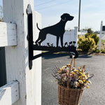 Labrador metal hanging basket bracket mounted on outdoor wall for plant decoration