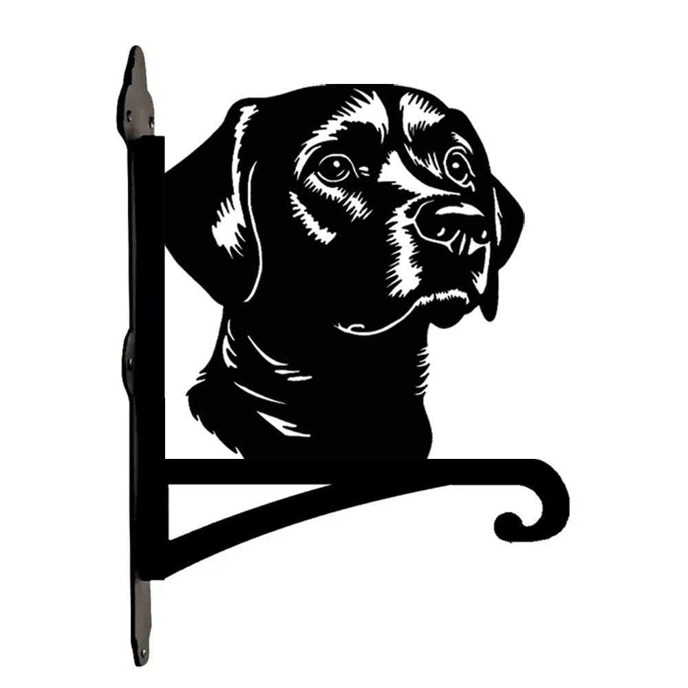 Labrador metal hanging basket bracket mounted on outdoor wall for plant decoration