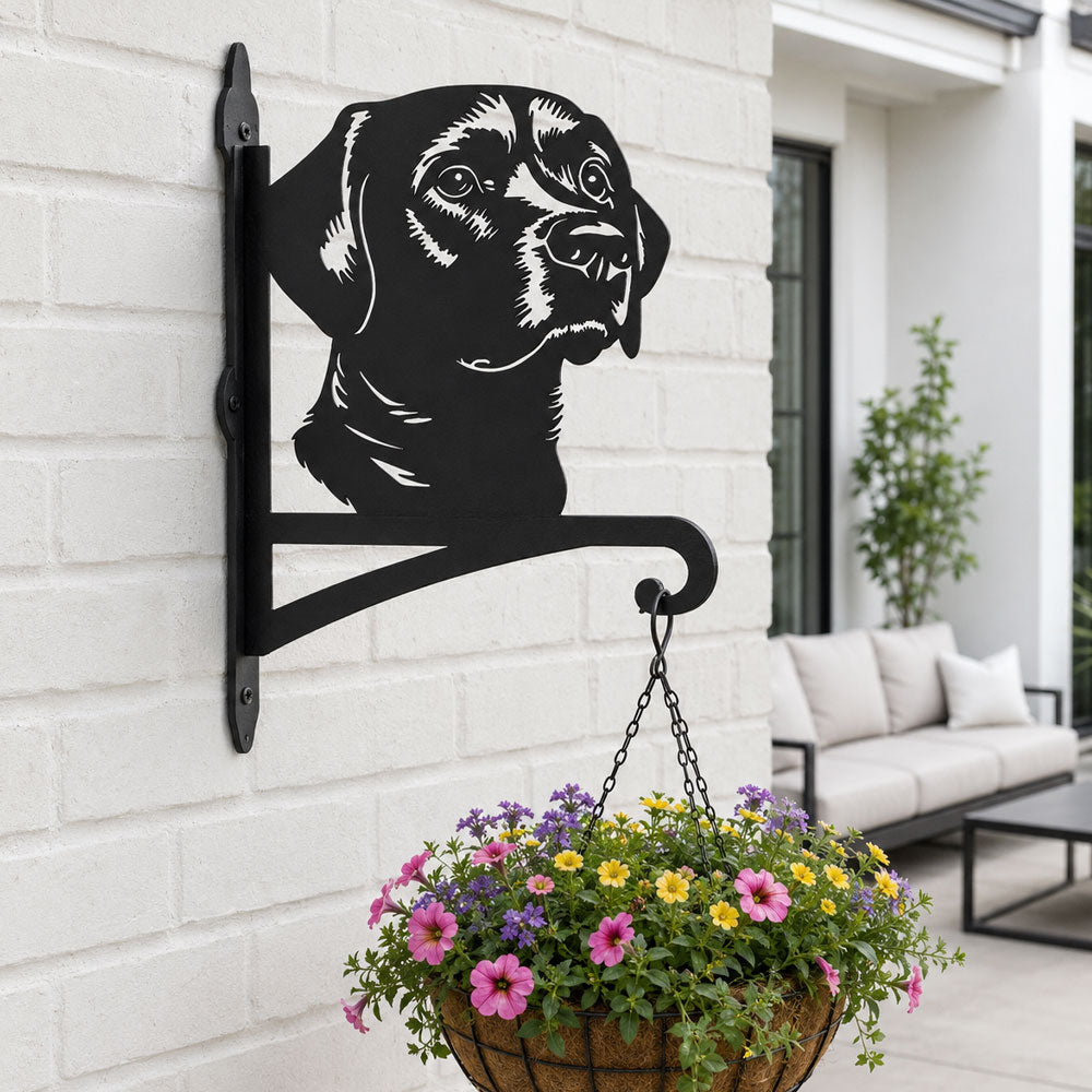 Labrador metal hanging basket bracket mounted on outdoor wall for plant decoration