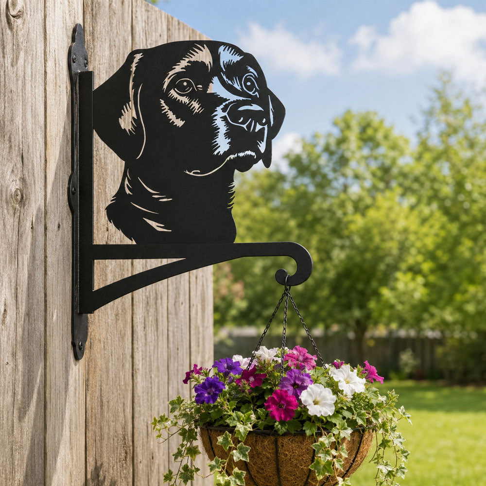 Labrador metal hanging basket bracket mounted on outdoor wall for plant decoration