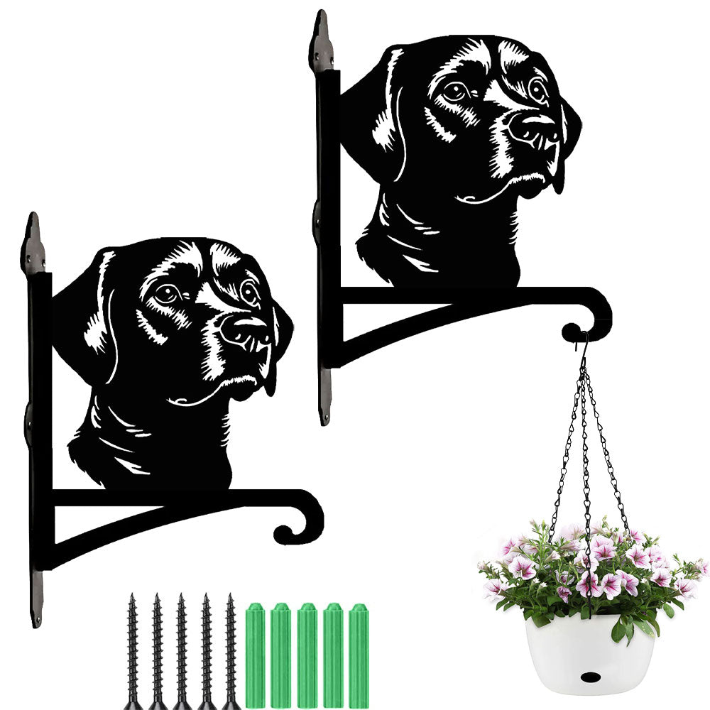 Labrador metal hanging basket bracket mounted on outdoor wall for plant decoration