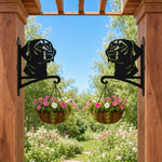 Labrador metal hanging basket bracket mounted on outdoor wall for plant decoration