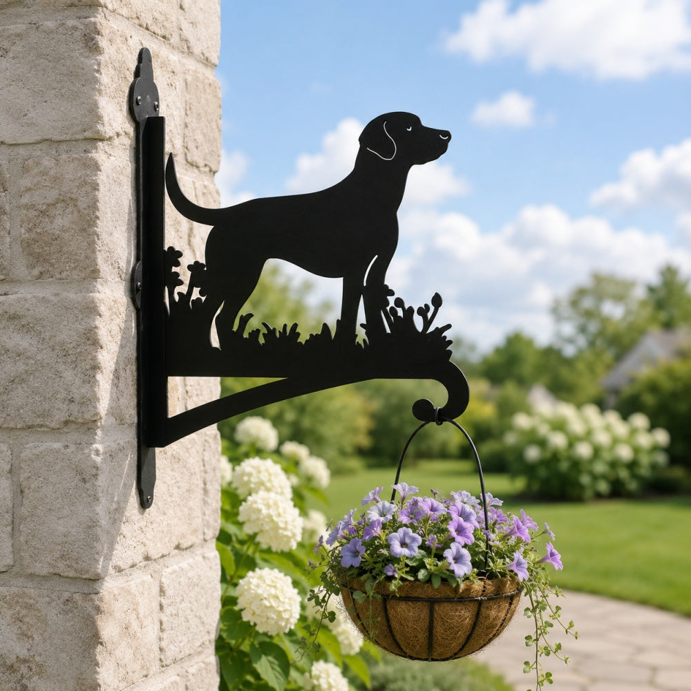 Labrador metal hanging basket bracket mounted on outdoor wall for plant decoration