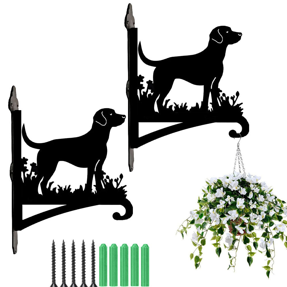 Labrador metal hanging basket bracket mounted on outdoor wall for plant decoration