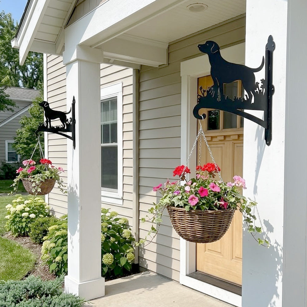 Labrador metal hanging basket bracket mounted on outdoor wall for plant decoration