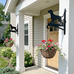 Labrador metal hanging basket bracket mounted on outdoor wall for plant decoration