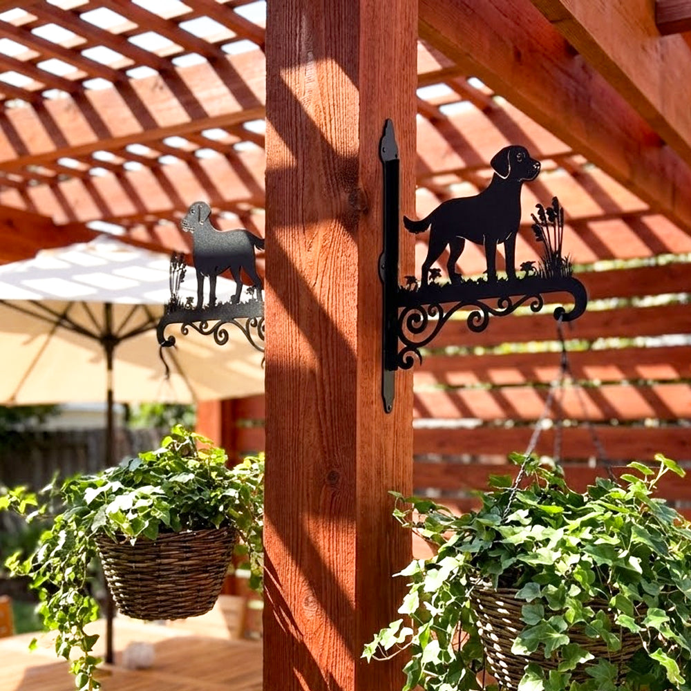 Labrador metal hanging basket bracket mounted on outdoor wall for plant decoration