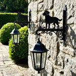 Labrador metal hanging basket bracket mounted on outdoor wall for plant decoration
