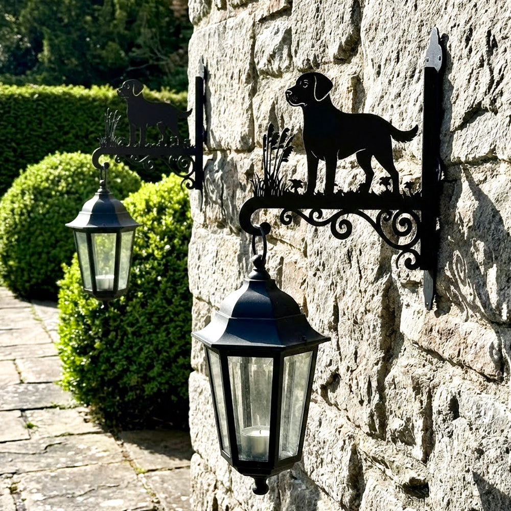 Labrador metal hanging basket bracket mounted on outdoor wall for plant decoration