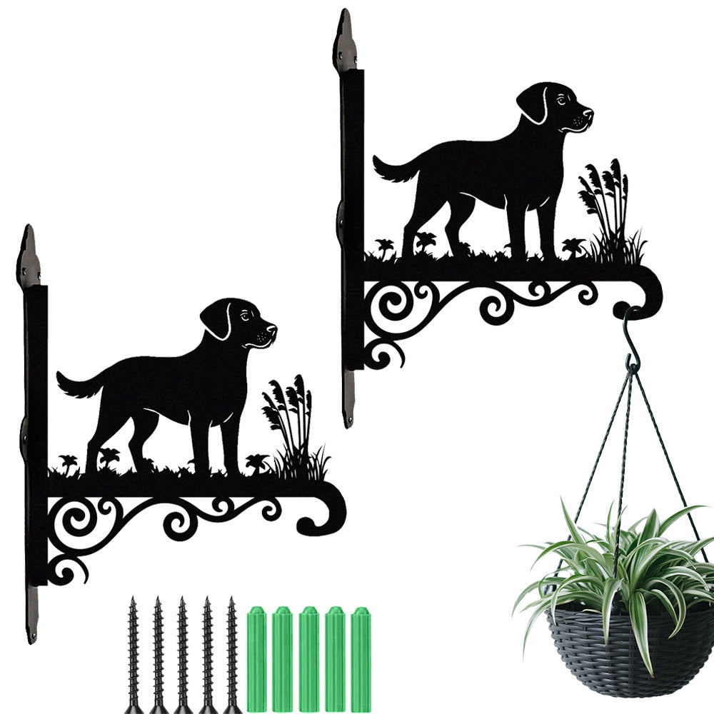 Labrador metal hanging basket bracket mounted on outdoor wall for plant decoration