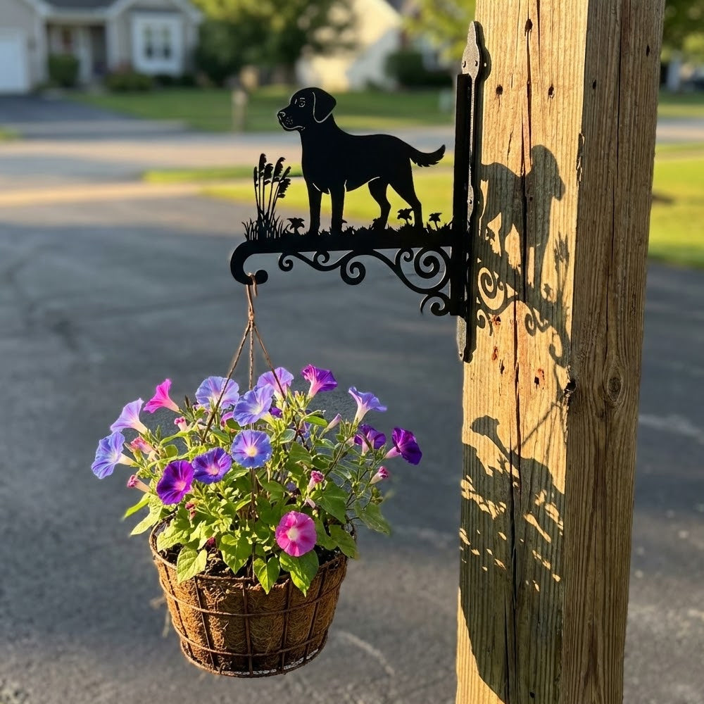 Labrador metal hanging basket bracket mounted on outdoor wall for plant decoration