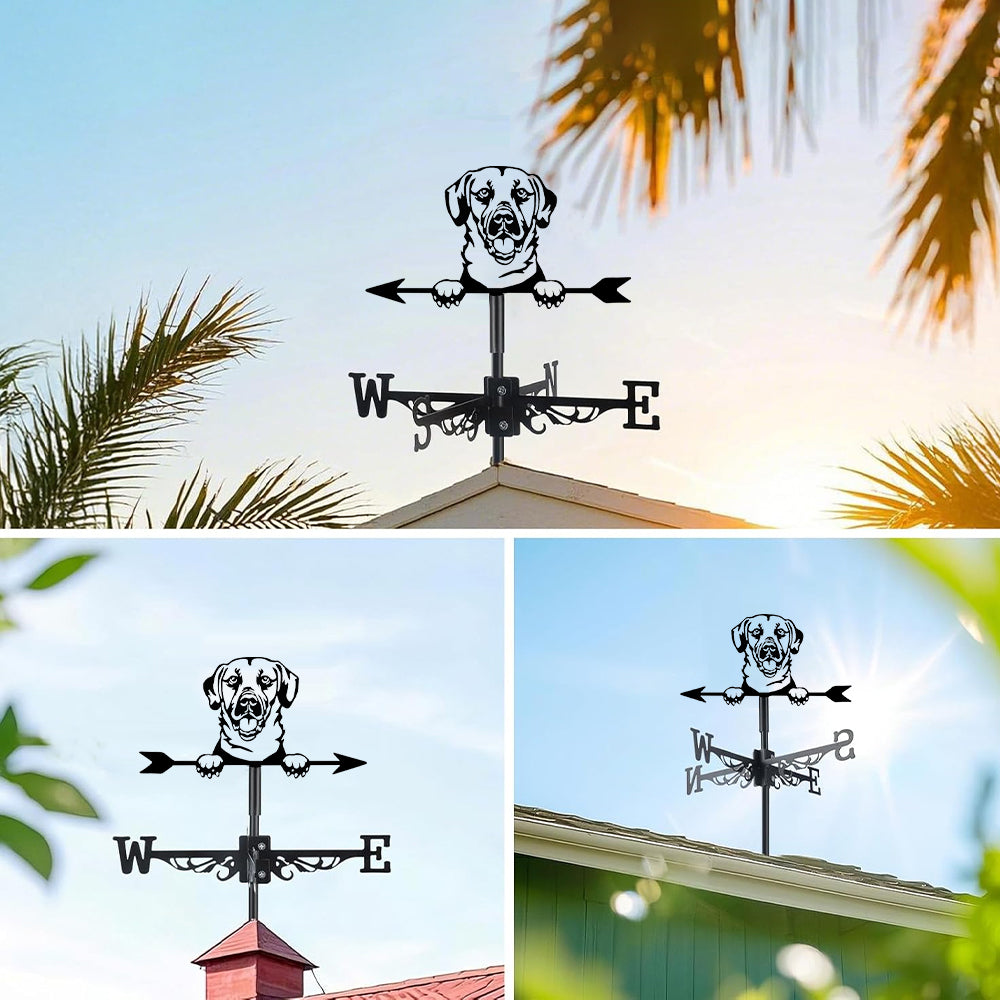 Labrador retriever metal weather vane with directional arrows and mounting rod, outdoor roof and garden decoration