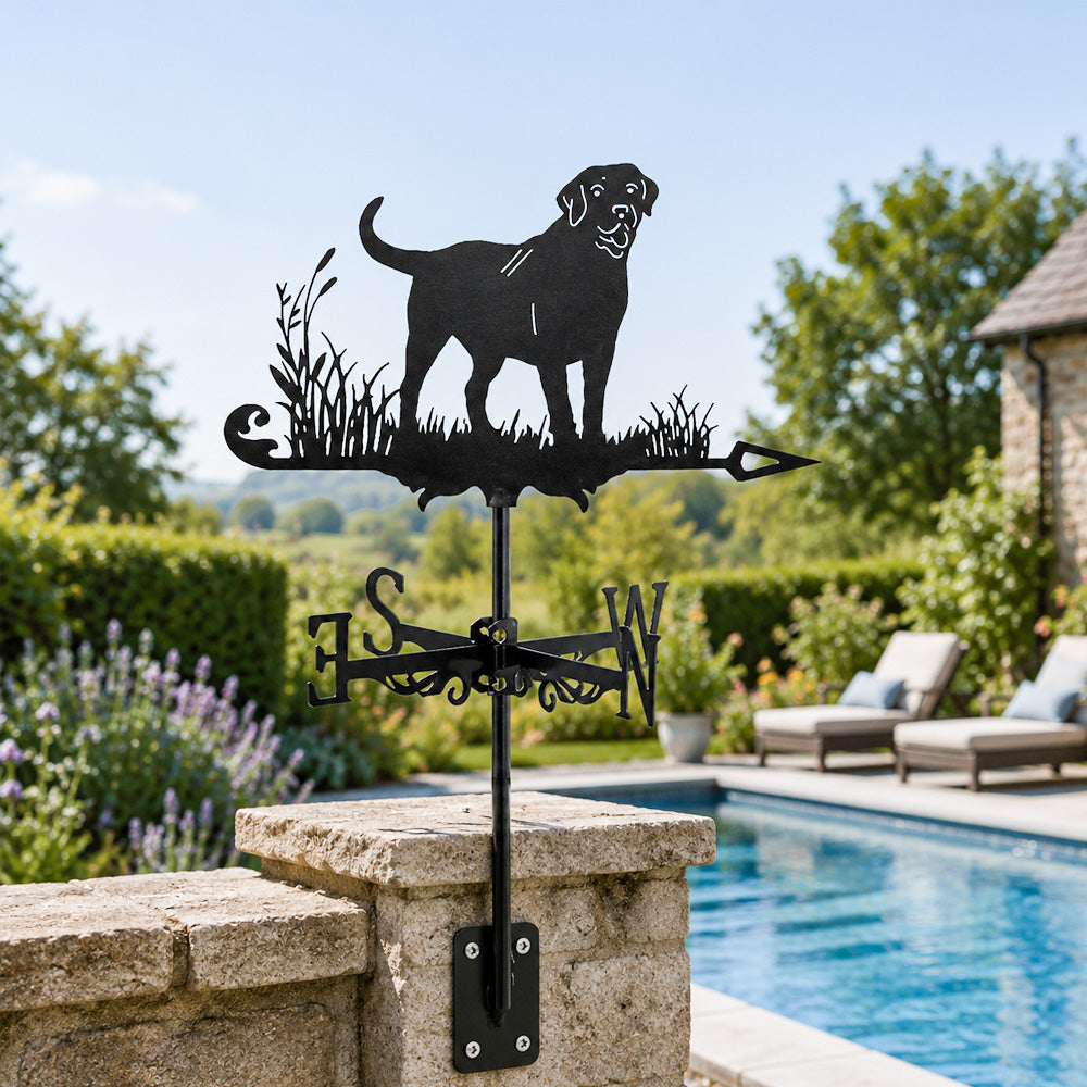 Labrador retriever metal weather vane with directional arrows and mounting rod, outdoor roof and garden decoration