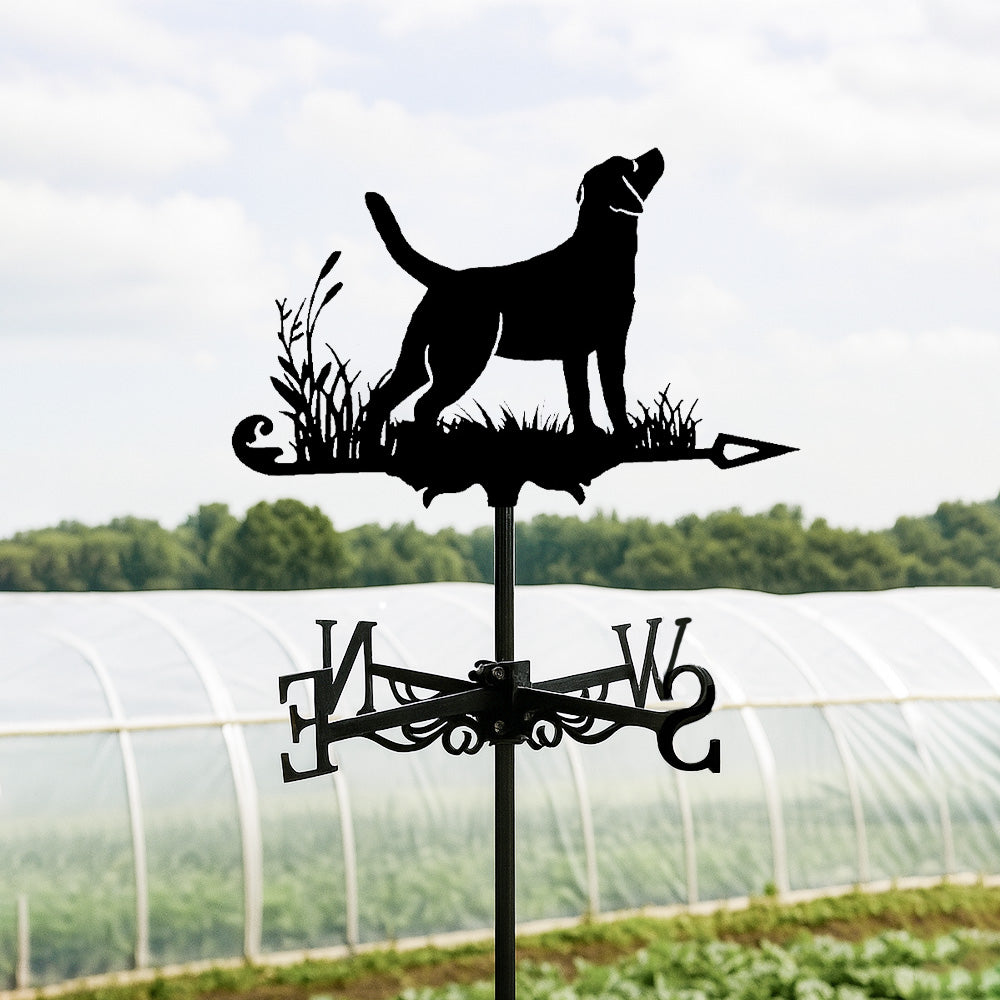 Labrador retriever metal weather vane with directional arrows and mounting rod, outdoor roof and garden decoration