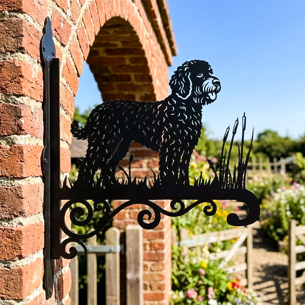 Lagotto romagnolo metal hanging basket bracket mounted on outdoor wall for plant decoration