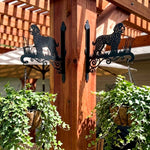 Lagotto romagnolo metal hanging basket bracket mounted on outdoor wall for plant decoration