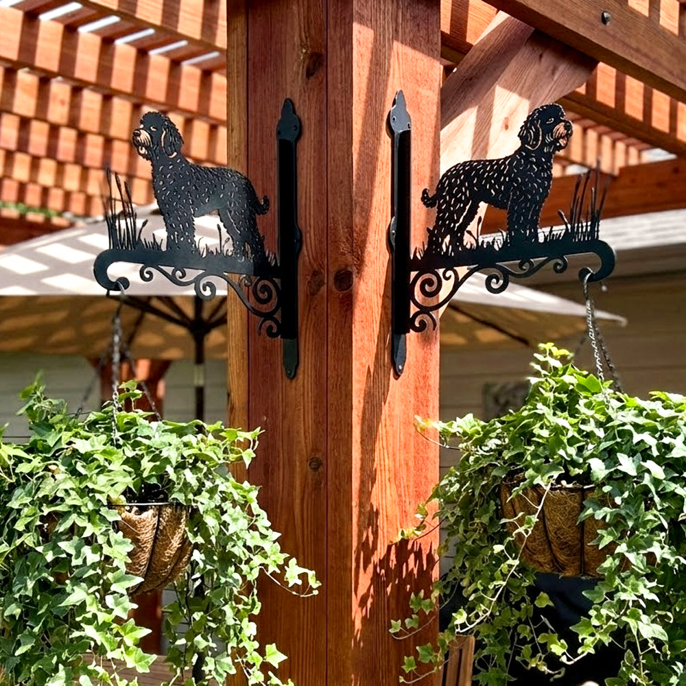 Lagotto romagnolo metal hanging basket bracket mounted on outdoor wall for plant decoration