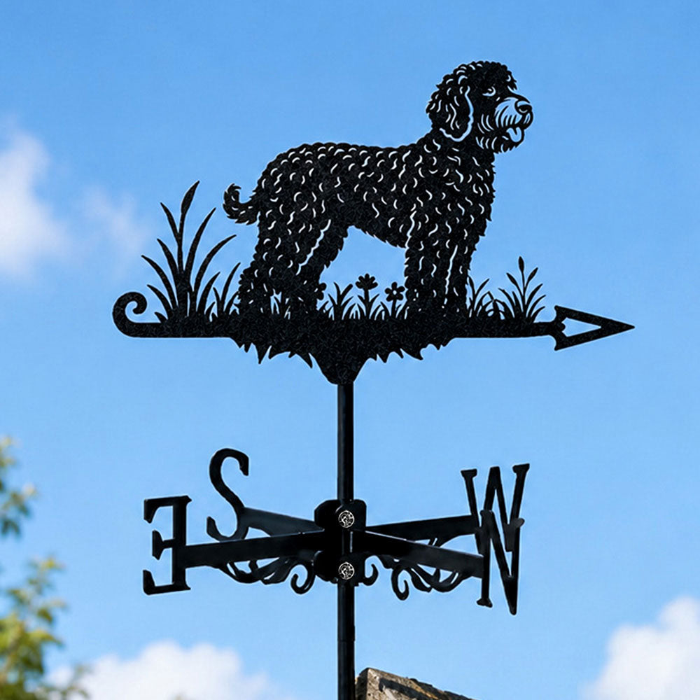 Lagotto romagnolo metal weather vane with directional arrows and mounting rod, outdoor roof and garden decoration