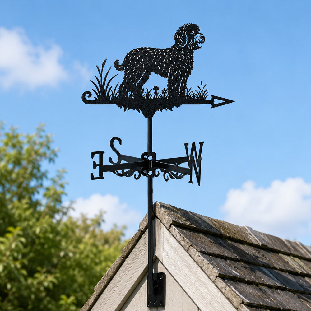 Lagotto romagnolo metal weather vane with directional arrows and mounting rod, outdoor roof and garden decoration