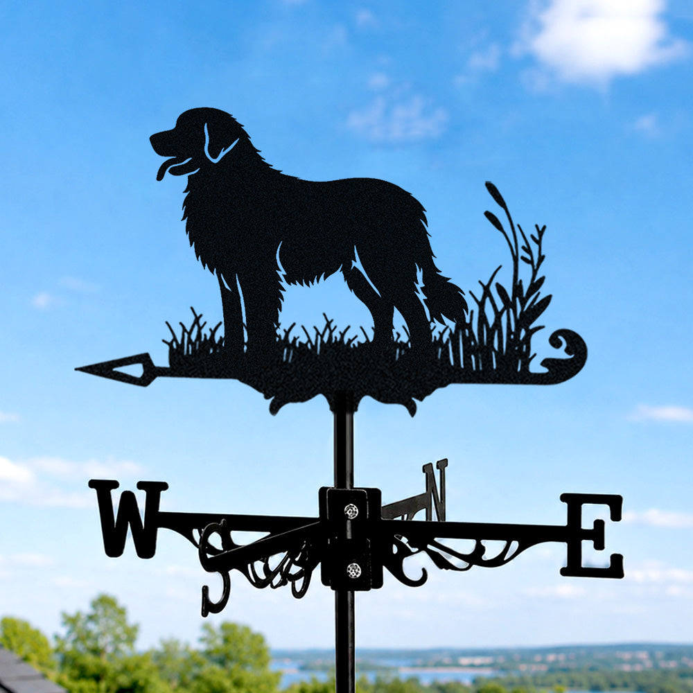 Leonberger metal weather vane with directional arrows and mounting rod, outdoor roof and garden decoration