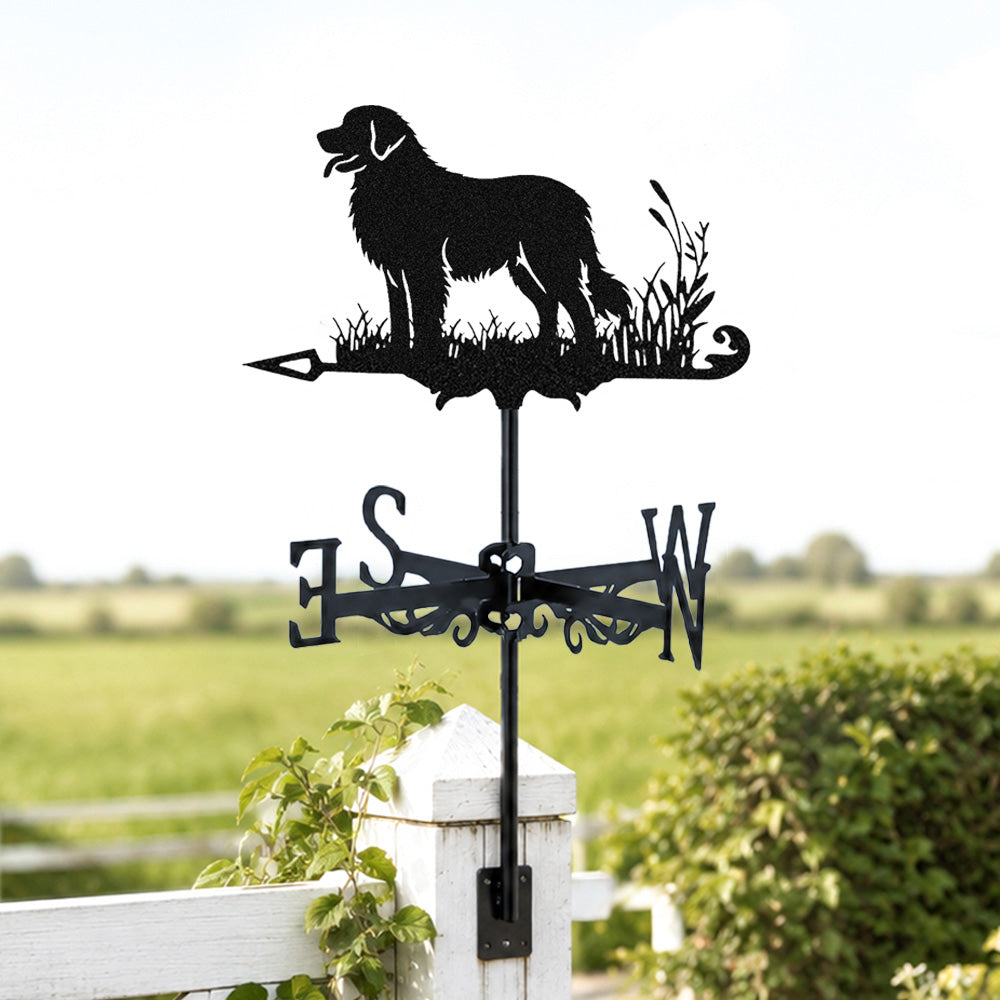 Leonberger metal weather vane with directional arrows and mounting rod, outdoor roof and garden decoration