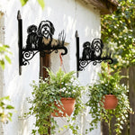 Lhasa apso metal hanging basket bracket mounted on outdoor wall for plant decoration