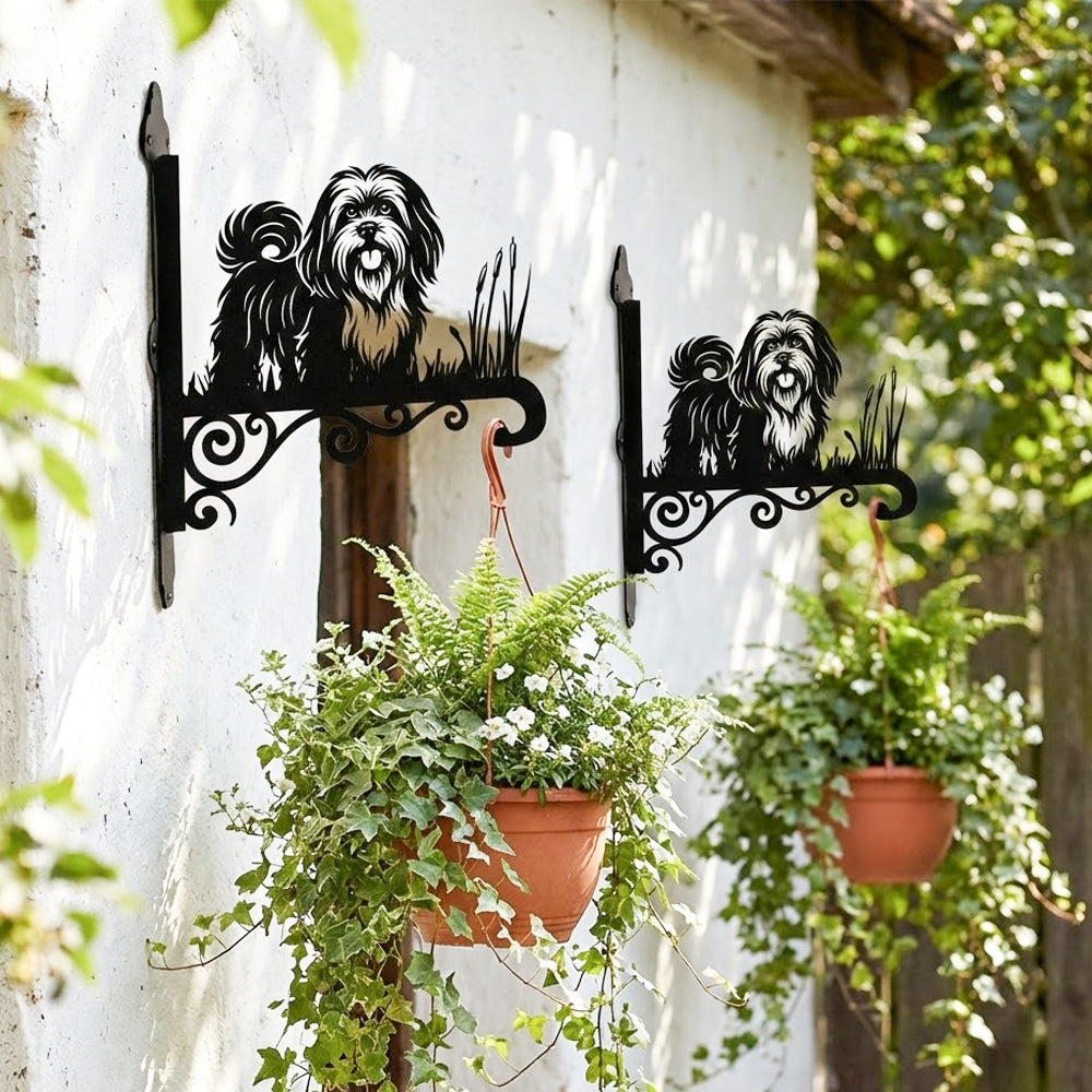 Lhasa apso metal hanging basket bracket mounted on outdoor wall for plant decoration