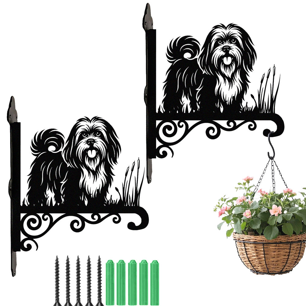 Lhasa apso metal hanging basket bracket mounted on outdoor wall for plant decoration