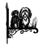 Lhasa apso metal hanging basket bracket mounted on outdoor wall for plant decoration