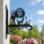 Lhasa apso metal hanging basket bracket mounted on outdoor wall for plant decoration