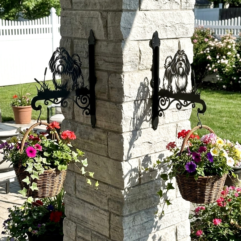 Lhasa apso metal hanging basket bracket mounted on outdoor wall for plant decoration