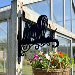 Lhasa apso metal hanging basket bracket mounted on outdoor wall for plant decoration