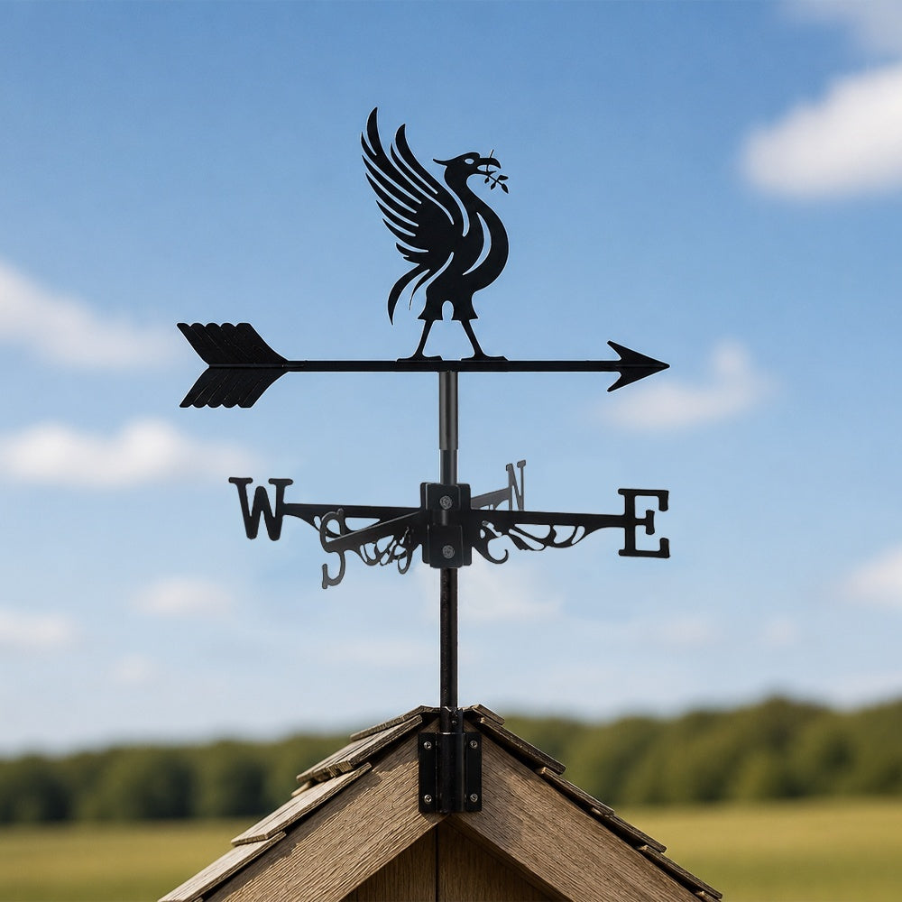 Liver bird metal weather vane with directional arrows and mounting rod, outdoor roof and garden decoration