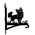 Chihuahua metal hanging basket bracket mounted on outdoor wall for plant decoration