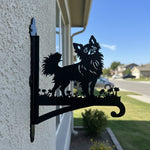 Chihuahua metal hanging basket bracket mounted on outdoor wall for plant decoration
